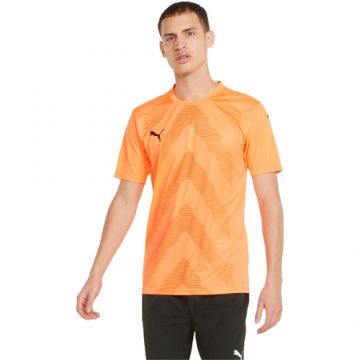 Tricou barbati Puma Teamglory Jersey 70501721