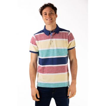 Tricou polo de bumbac in dungi