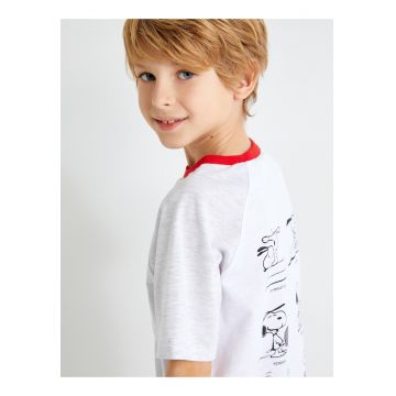 Tricou cu imprimeu si maneci raglan