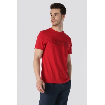 Tricou regular fit cu imprimeu grafic