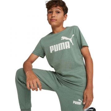 Tricou copii Puma Essentials Logo 58696045