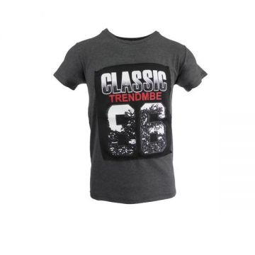 Tricou barbat, gri Classic 86, XL