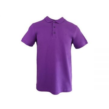 Tricou polo barbat, regular fit, cu broderie logo discreta, mov, marime L