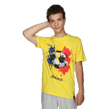 ROMANIA FAN T SHIRT